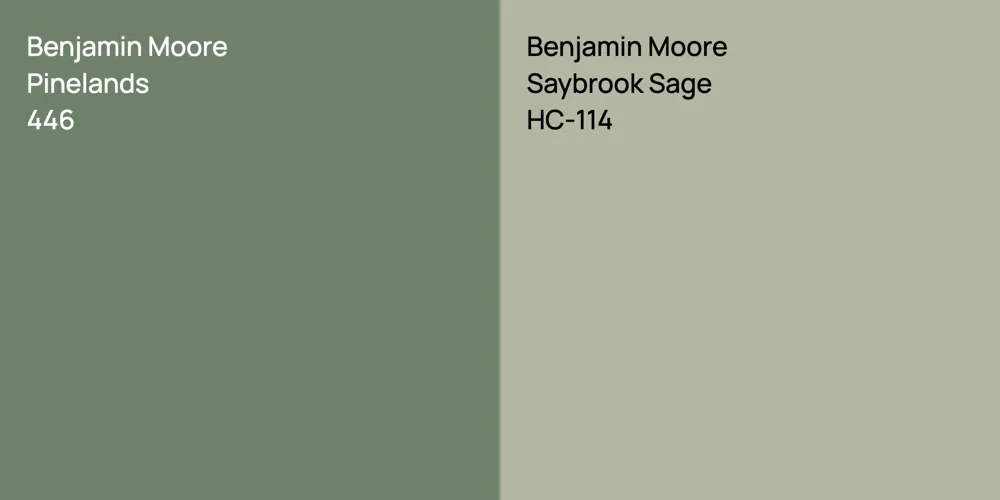 Benjamin Moore Pinelands vs. Benjamin Moore Saybrook Sage