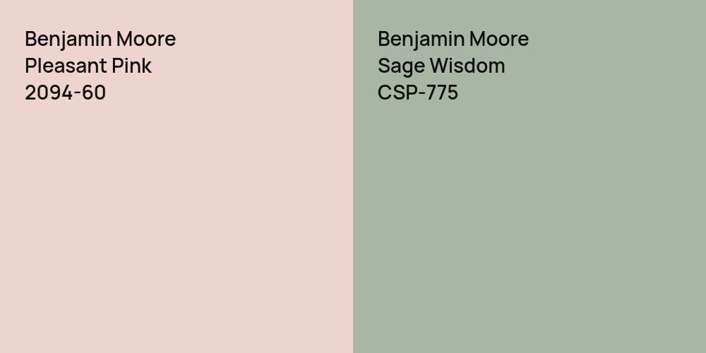 Benjamin Moore Pleasant Pink vs. Benjamin Moore Sage Wisdom