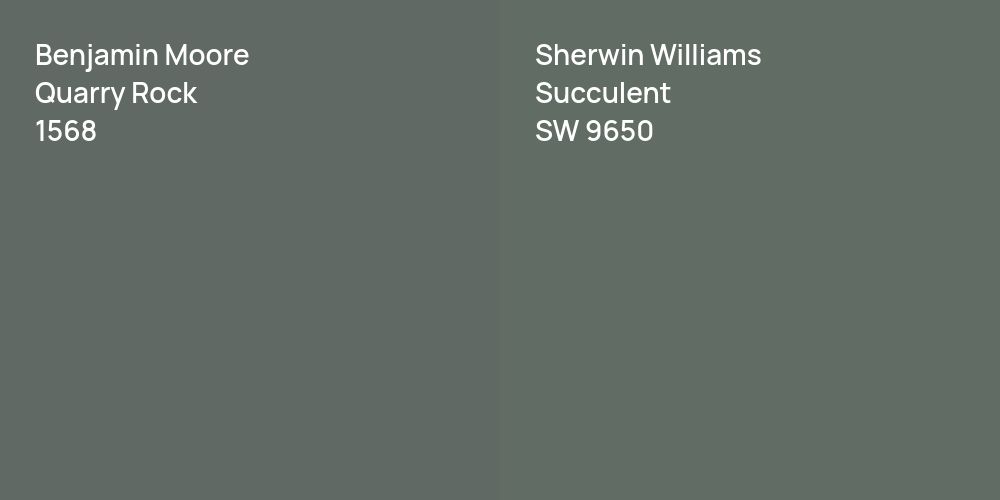 Benjamin Moore Quarry Rock vs. Sherwin Williams Succulent