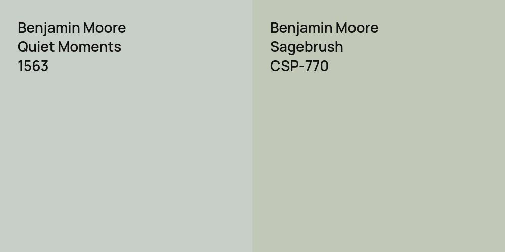 Benjamin Moore Quiet Moments vs. Benjamin Moore Sagebrush