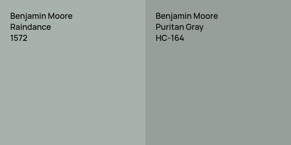 Benjamin Moore Raindance vs. Benjamin Moore Puritan Gray