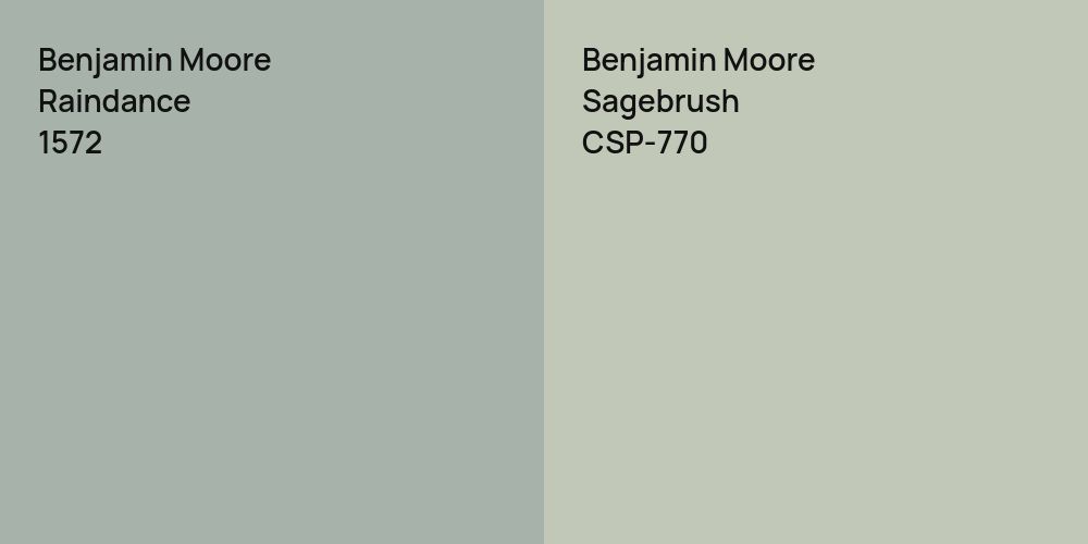 Benjamin Moore Raindance vs. Benjamin Moore Sagebrush