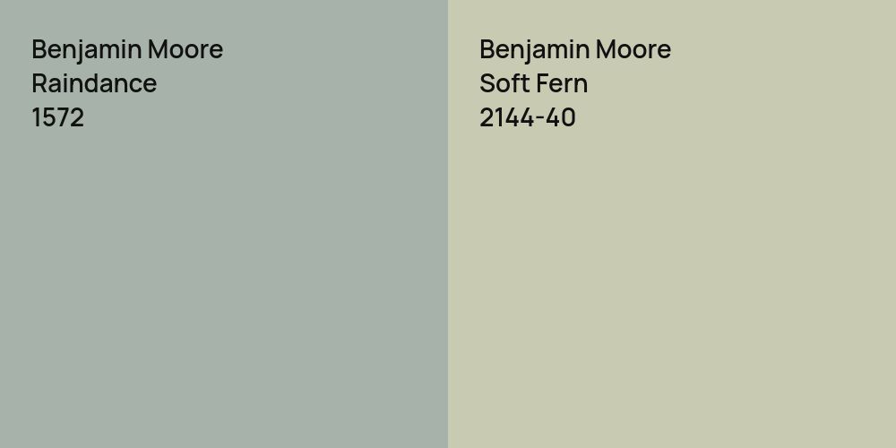 Benjamin Moore Raindance vs. Benjamin Moore Soft Fern