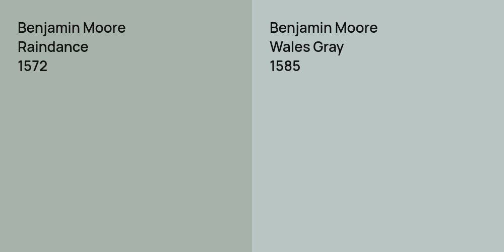 Benjamin Moore Raindance vs. Benjamin Moore Wales Gray