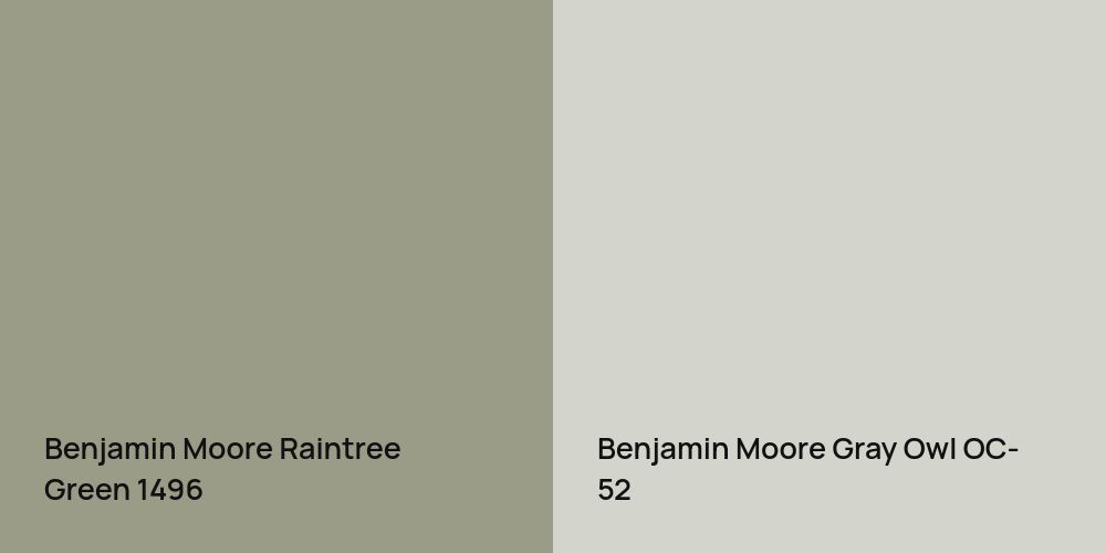 Benjamin Moore Raintree Green vs. Benjamin Moore Gray Owl