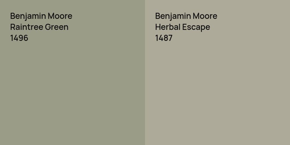 Benjamin Moore Raintree Green vs. Benjamin Moore Herbal Escape