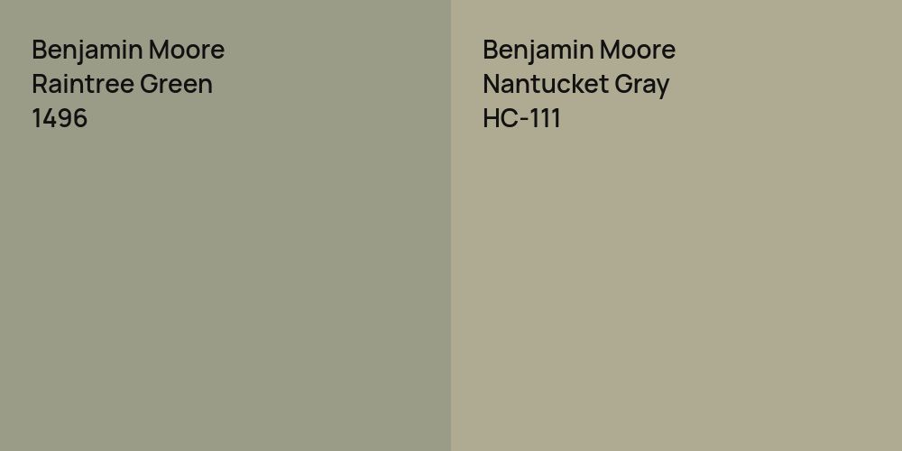 Benjamin Moore Raintree Green vs. Benjamin Moore Nantucket Gray