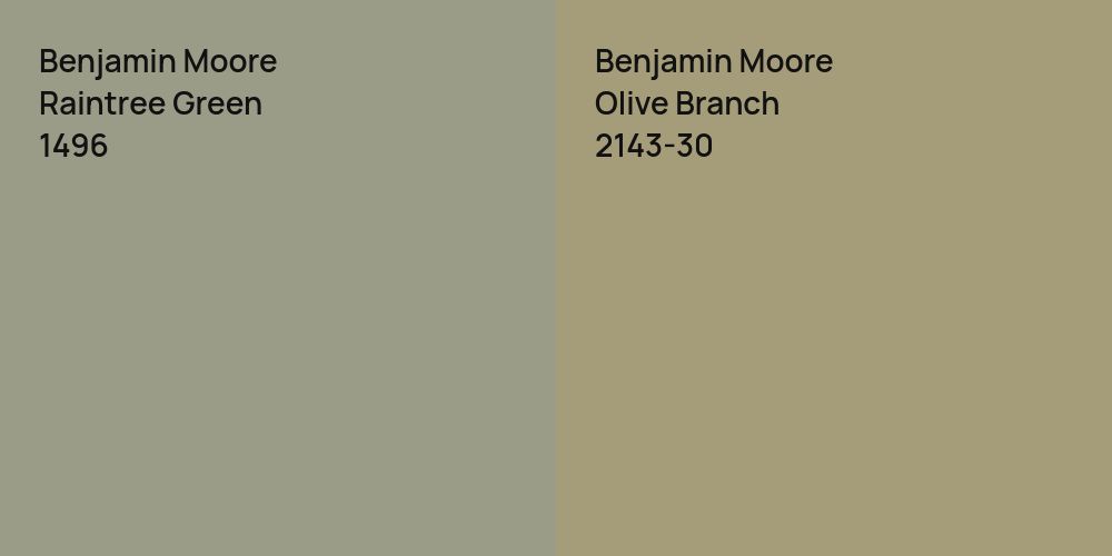 Benjamin Moore Raintree Green vs. Benjamin Moore Olive Branch