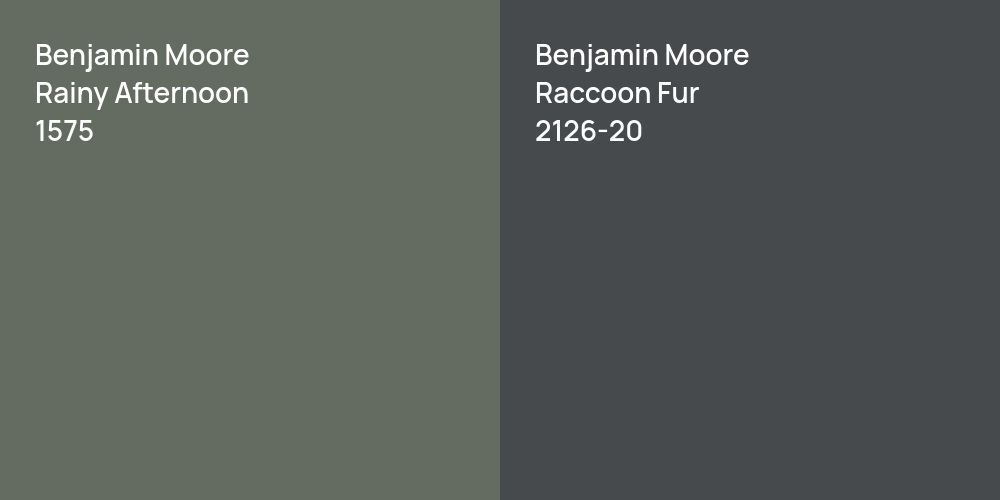 Benjamin Moore Rainy Afternoon vs. Benjamin Moore Raccoon Fur