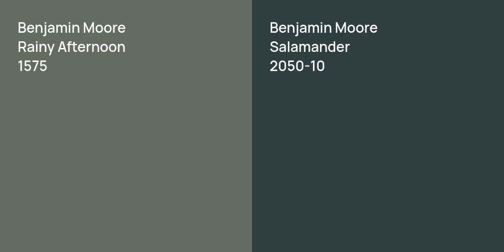 Benjamin Moore Rainy Afternoon vs. Benjamin Moore Salamander