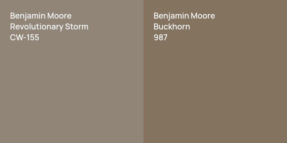 Benjamin Moore Revolutionary Storm vs. Benjamin Moore Buckhorn