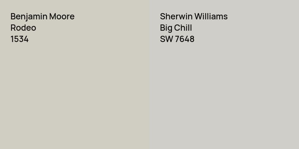 Benjamin Moore Rodeo vs. Sherwin Williams Big Chill