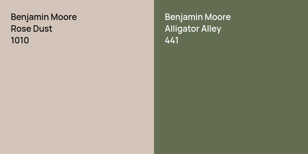 Benjamin Moore Rose Dust vs. Benjamin Moore Alligator Alley