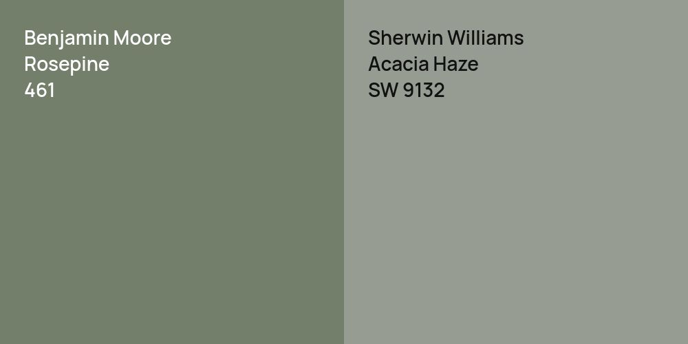 Benjamin Moore Rosepine vs. Sherwin Williams Acacia Haze