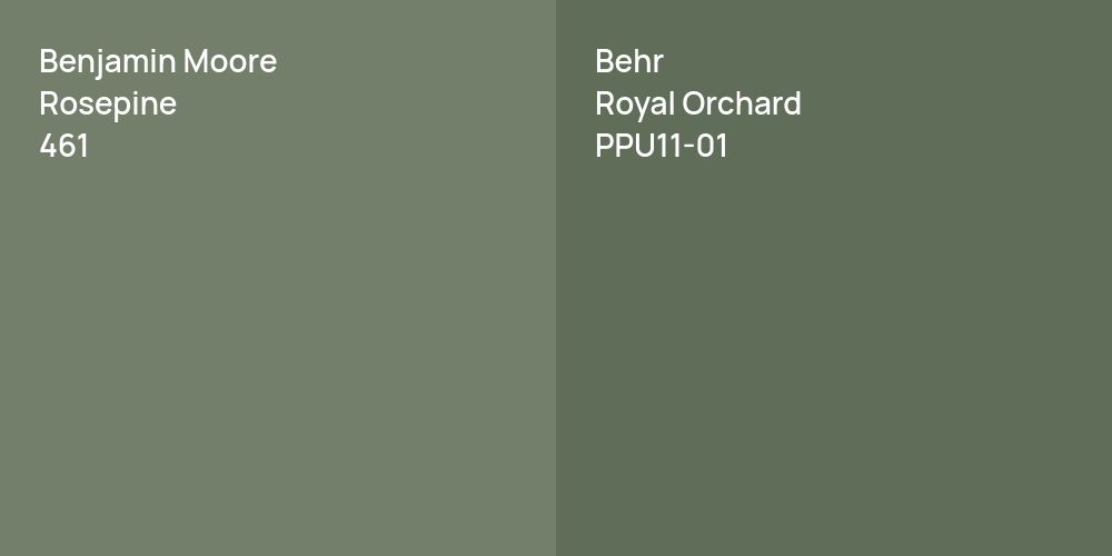 Benjamin Moore Rosepine vs. Behr Royal Orchard