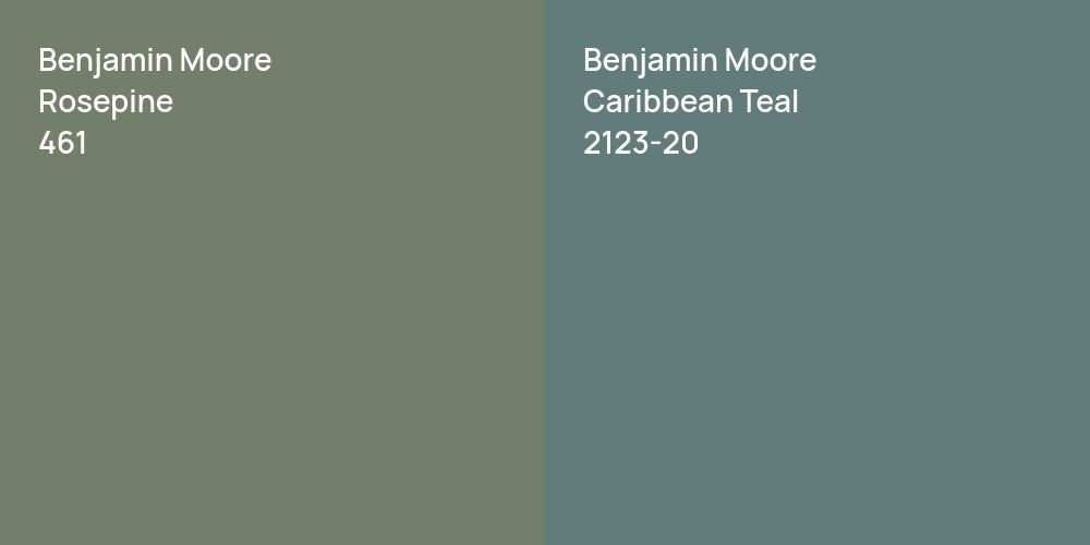 Benjamin Moore Rosepine vs. Benjamin Moore Caribbean Teal