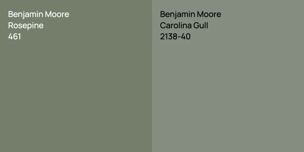 Benjamin Moore Rosepine vs. Benjamin Moore Carolina Gull