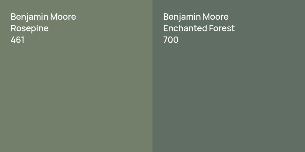 Benjamin Moore Rosepine vs. Benjamin Moore Enchanted Forest