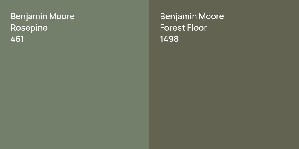 Benjamin Moore Rosepine vs. Benjamin Moore Forest Floor