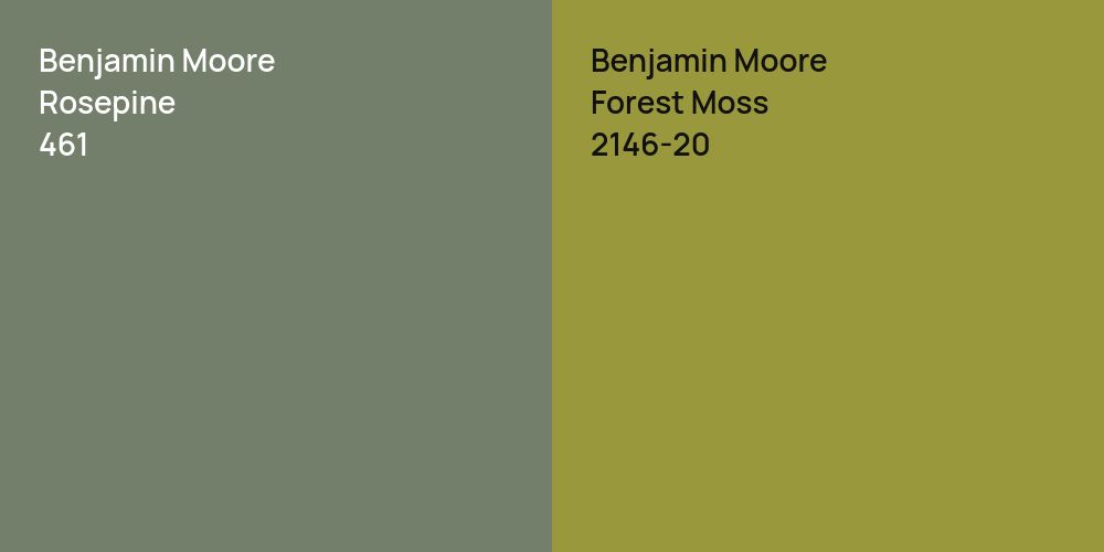 Benjamin Moore Rosepine vs. Benjamin Moore Forest Moss