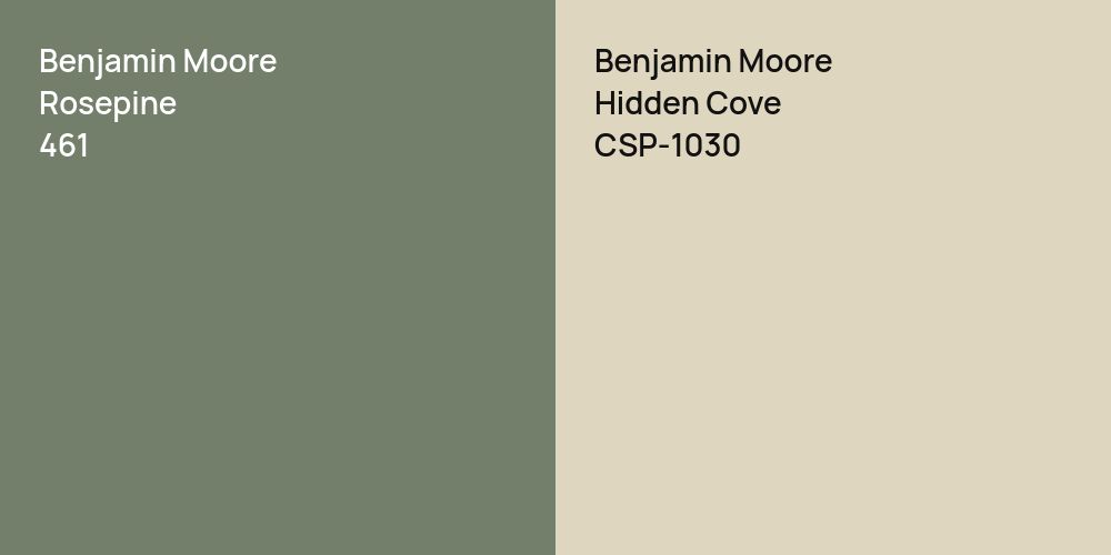 Benjamin Moore Rosepine vs. Benjamin Moore Hidden Cove