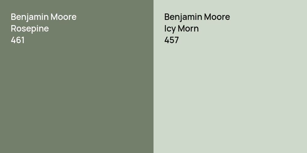 Benjamin Moore Rosepine vs. Benjamin Moore Icy Morn