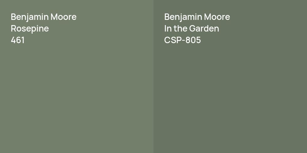 Benjamin Moore Rosepine vs. Benjamin Moore In the Garden