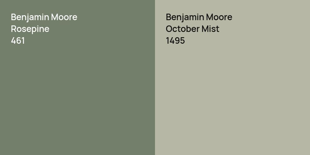 Benjamin Moore Rosepine vs. Benjamin Moore October Mist