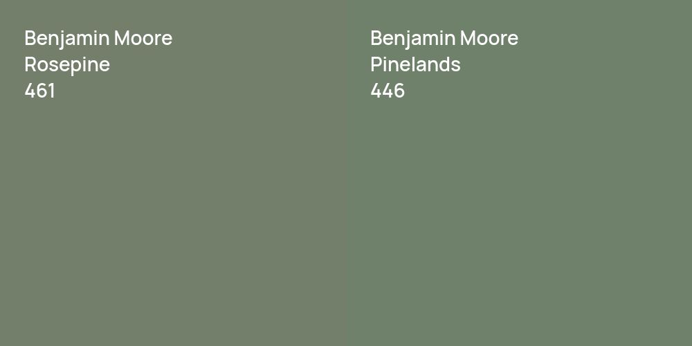 Benjamin Moore Rosepine vs. Benjamin Moore Pinelands