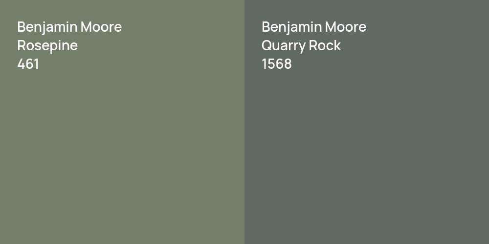 Benjamin Moore Rosepine vs. Benjamin Moore Quarry Rock