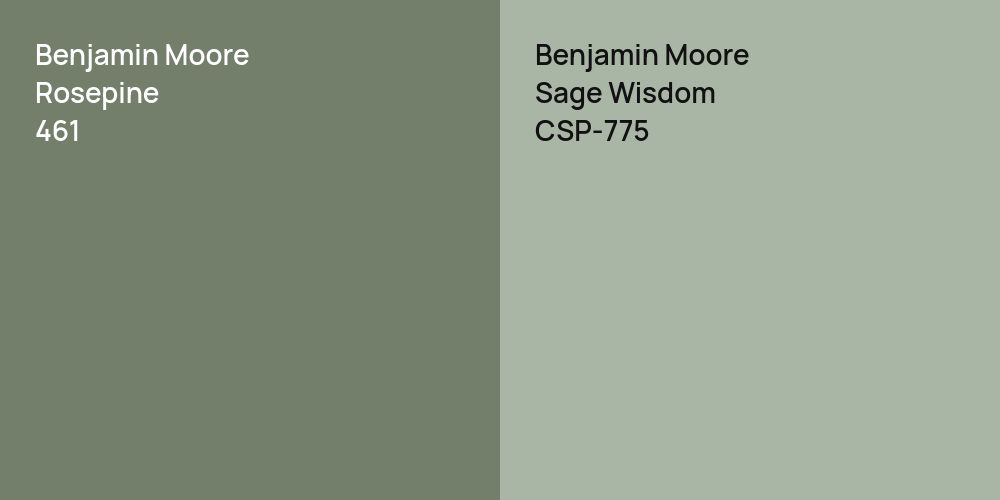 Benjamin Moore Rosepine vs. Benjamin Moore Sage Wisdom