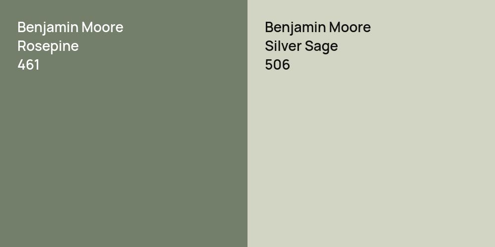 Benjamin Moore Rosepine vs. Benjamin Moore Silver Sage