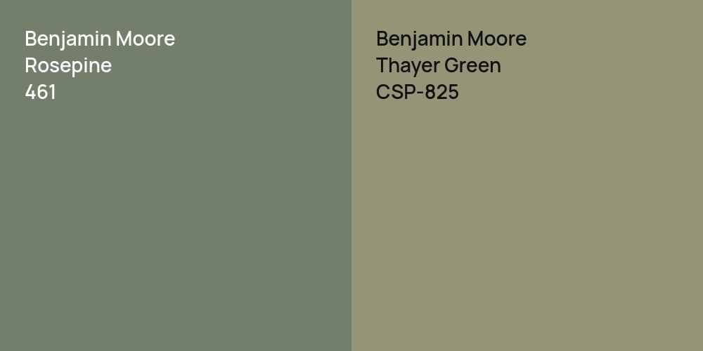 Benjamin Moore Rosepine vs. Benjamin Moore Thayer Green