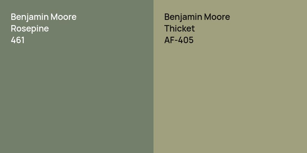 Benjamin Moore Rosepine vs. Benjamin Moore Thicket