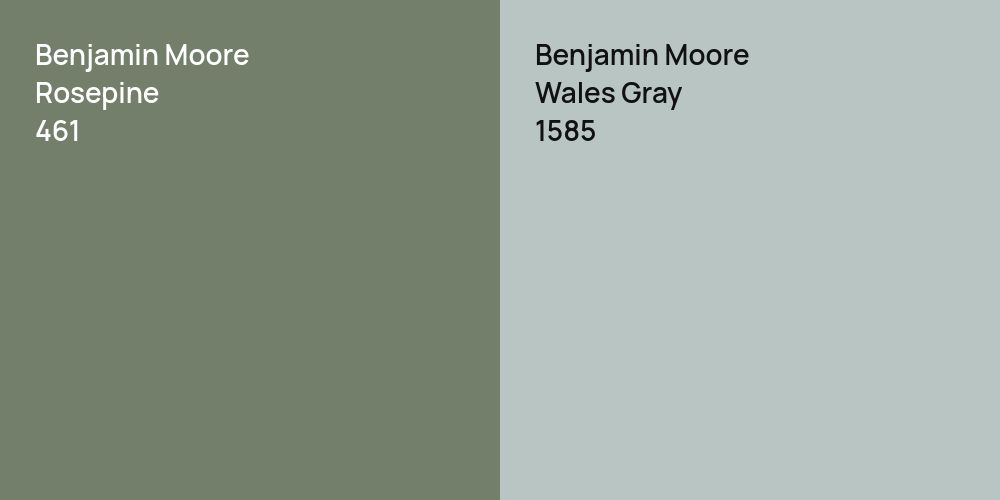 Benjamin Moore Rosepine vs. Benjamin Moore Wales Gray