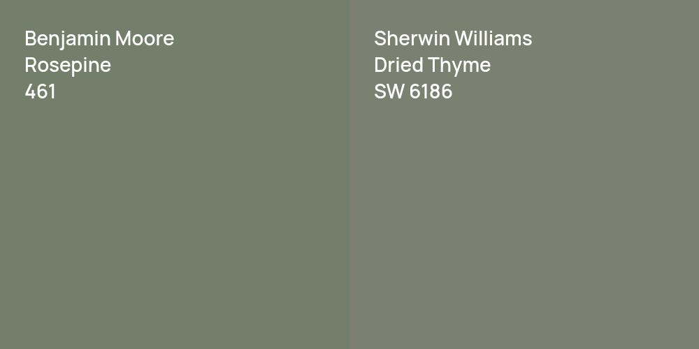 Benjamin Moore Rosepine vs. Sherwin Williams Dried Thyme