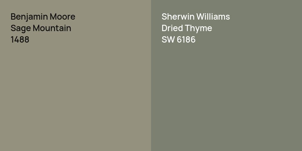 Benjamin Moore Sage Mountain vs. Sherwin Williams Dried Thyme