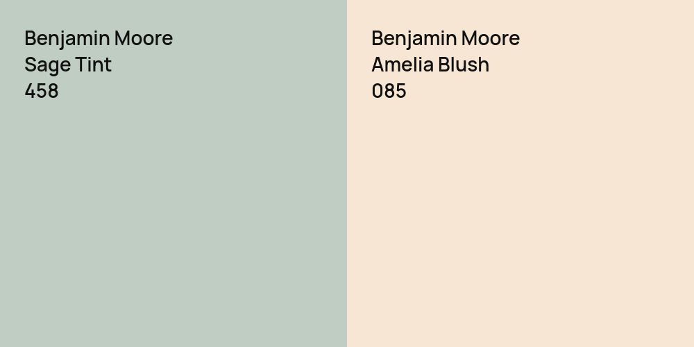 Benjamin Moore Sage Tint vs. Benjamin Moore Amelia Blush