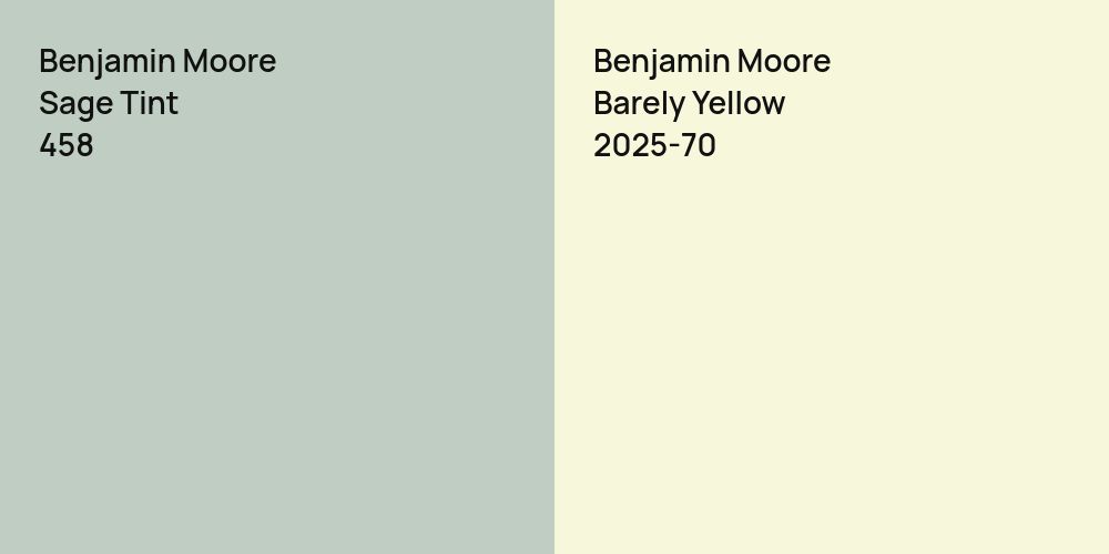 Benjamin Moore Sage Tint vs. Benjamin Moore Barely Yellow