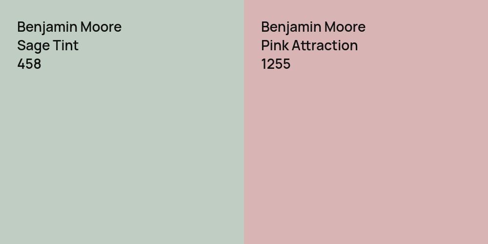 Benjamin Moore Sage Tint vs. Benjamin Moore Pink Attraction