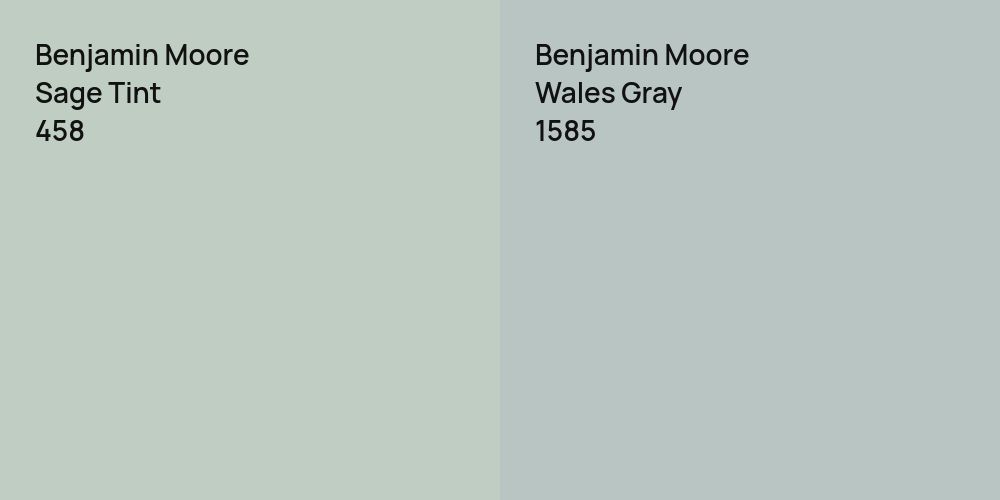 Benjamin Moore Sage Tint vs. Benjamin Moore Wales Gray