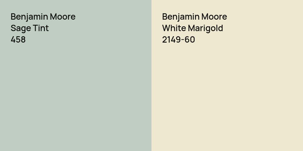 Benjamin Moore Sage Tint vs. Benjamin Moore White Marigold