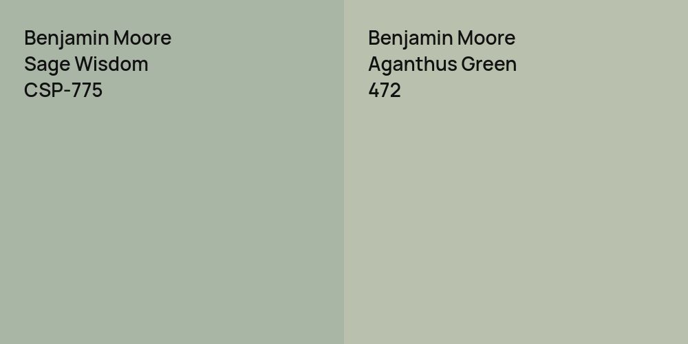 Benjamin Moore Sage Wisdom vs. Benjamin Moore Aganthus Green