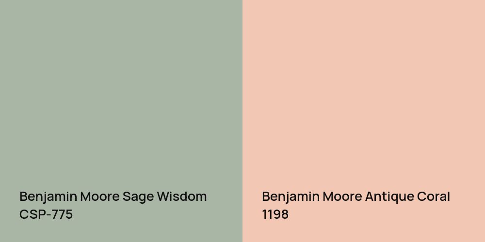 Benjamin Moore Sage Wisdom vs. Benjamin Moore Antique Coral