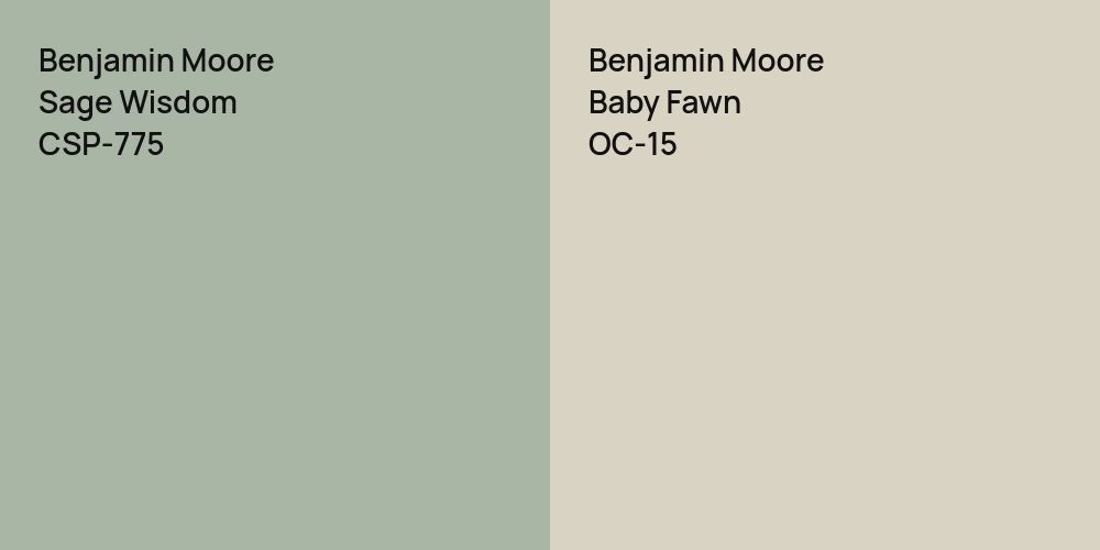 Benjamin Moore Sage Wisdom vs. Benjamin Moore Baby Fawn