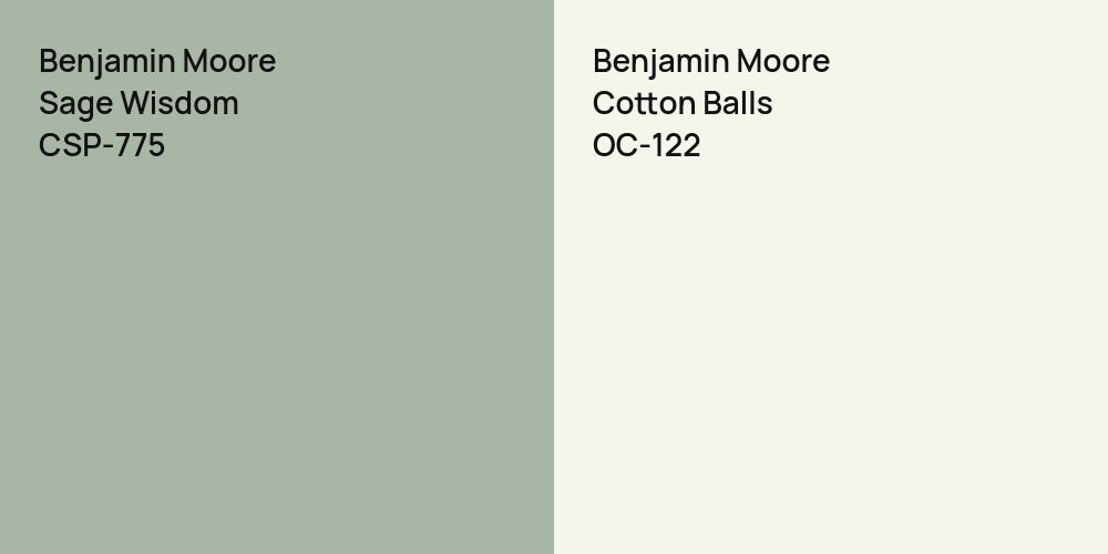 Benjamin Moore Sage Wisdom vs. Benjamin Moore Cotton Balls