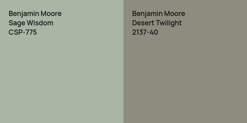 Benjamin Moore Sage Wisdom vs. Benjamin Moore Desert Twilight