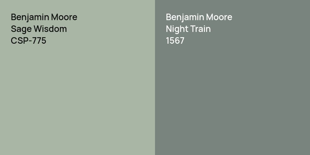 Benjamin Moore Sage Wisdom vs. Benjamin Moore Night Train