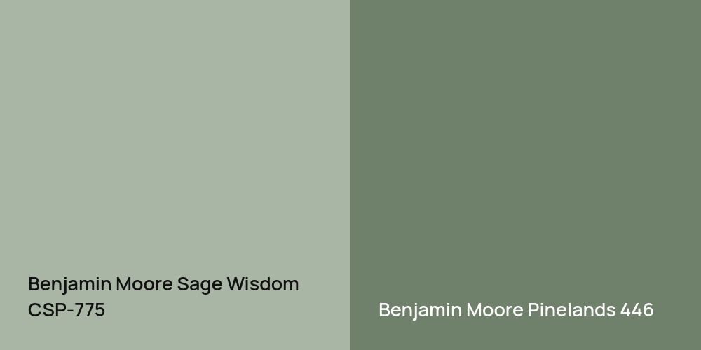 Benjamin Moore Sage Wisdom vs. Benjamin Moore Pinelands