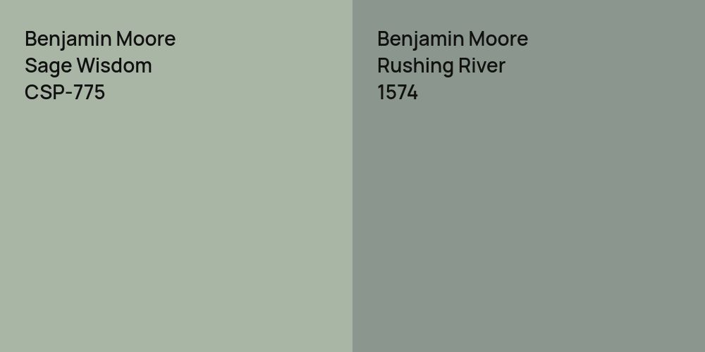 Benjamin Moore Sage Wisdom vs. Benjamin Moore Rushing River